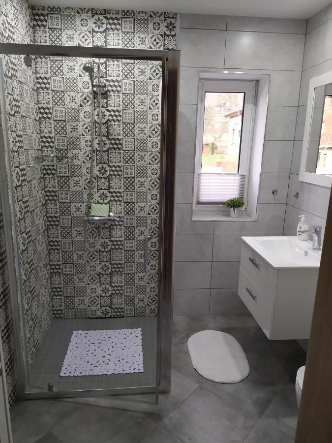 Apartament Kaola イェレニャ・グーラ エクステリア 写真